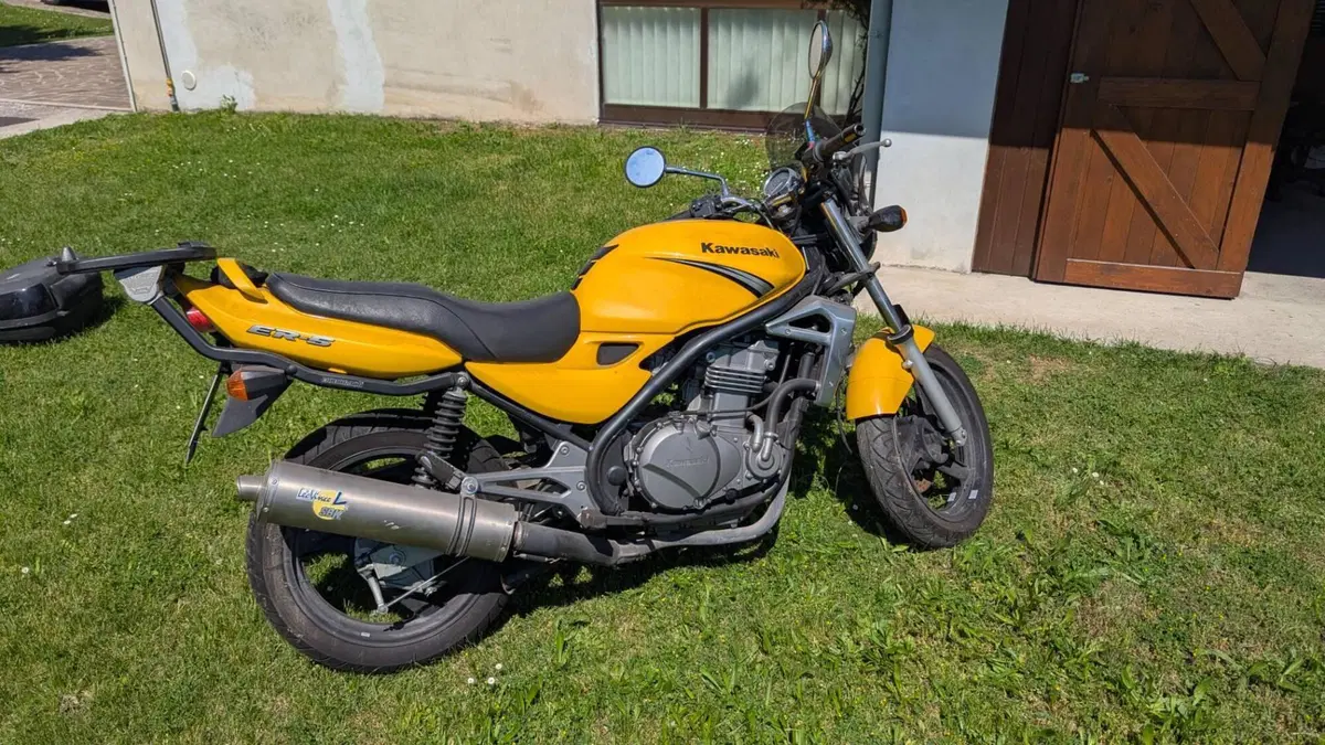 Kawasaki ER-5 500 (2001 - 06)  (5)