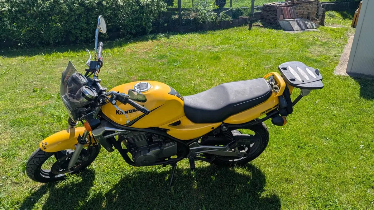 Kawasaki ER-5 500 (2001 - 06)  (6)