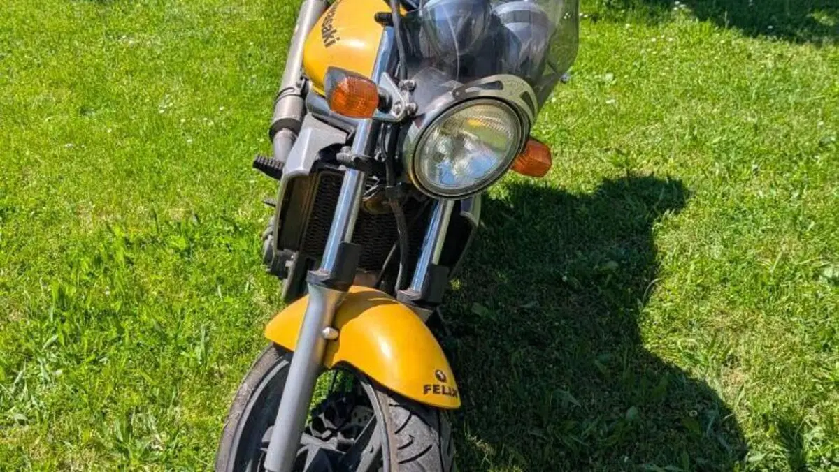 Kawasaki ER-5 500 (2001 - 06)  (7)