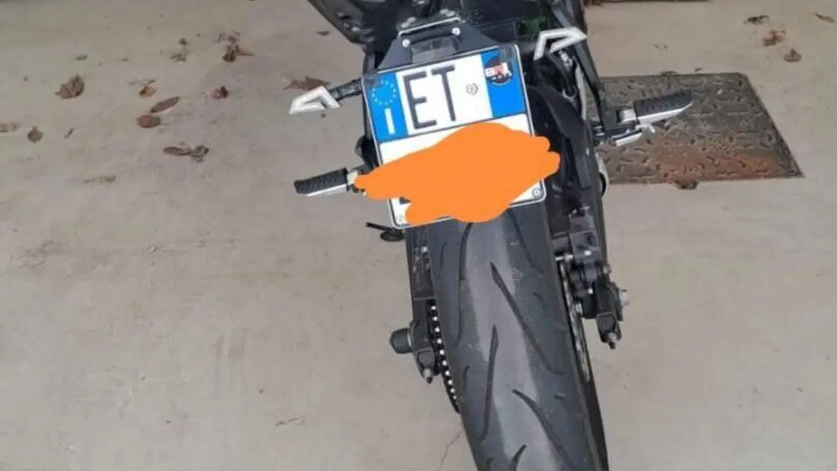 Kawasaki Z 650 (2021 - 24) 