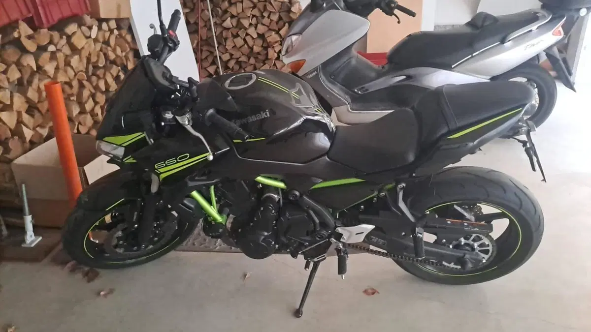 Kawasaki Z 650 (2021 - 24)  (5)