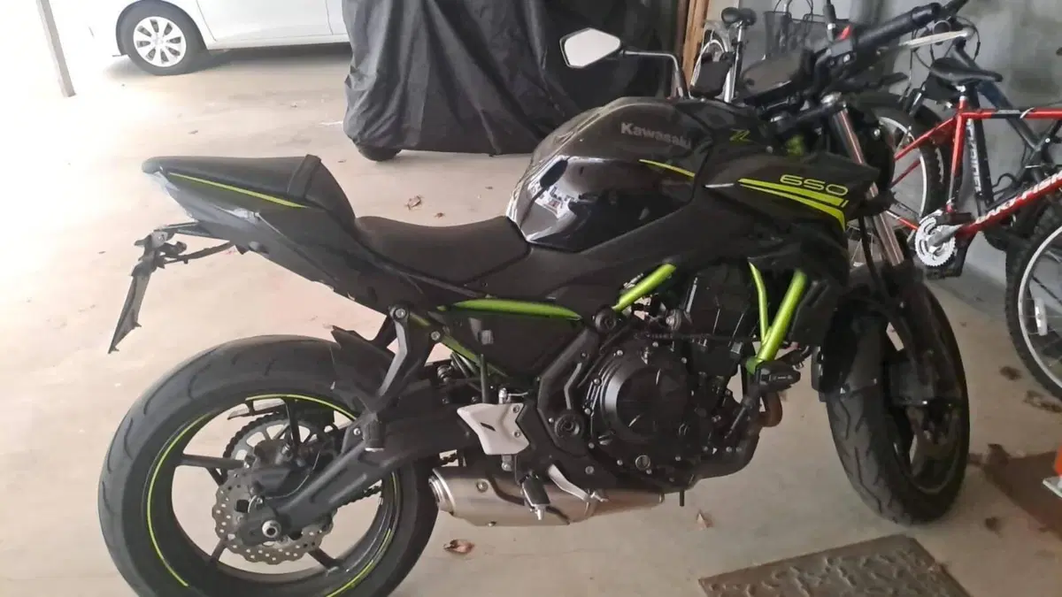 Kawasaki Z 650 (2021 - 24)  (6)