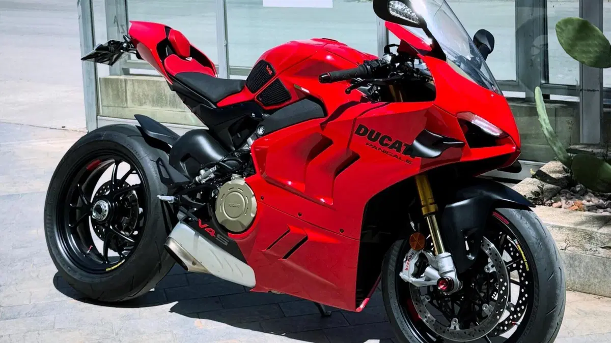 Ducati Panigale V4 S (2022 - 24) 