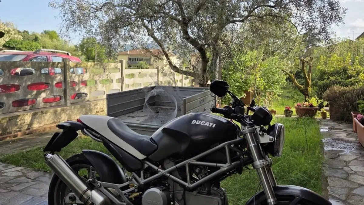 Ducati Monster 620 Dark (2003 - 06)  (5)