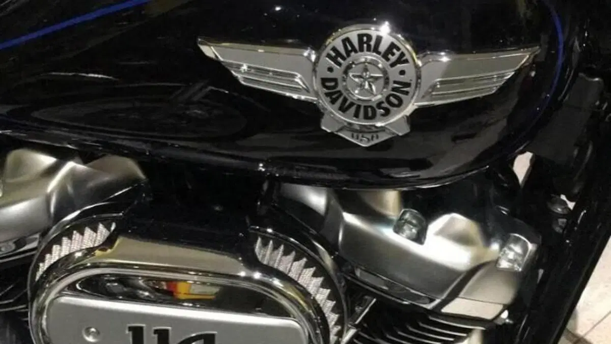 Harley-Davidson 114 Fat Boy (2018 - 20) - FLFBS  (3)