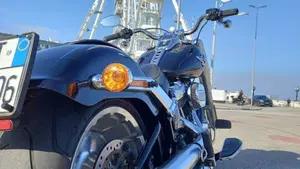 Harley-Davidson 114 Fat Boy (2018 - 20) - FLFBS  (4)
