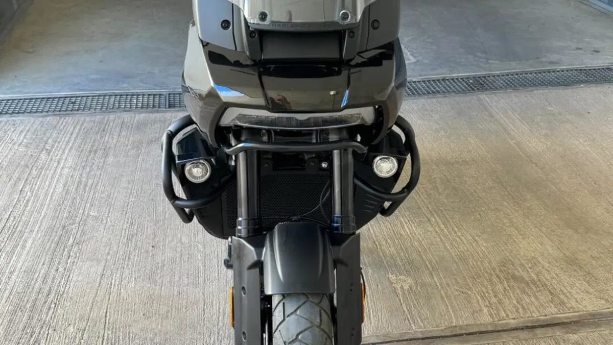 Harley-Davidson Pan America 1250 (2020 - 25)  (4)