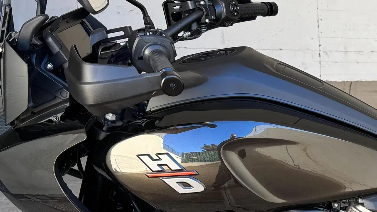 Harley-Davidson Pan America 1250 (2020 - 25)  (6)