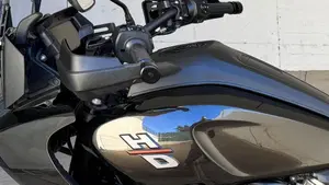 Harley-Davidson Pan America 1250 (2020 - 25)  (6)