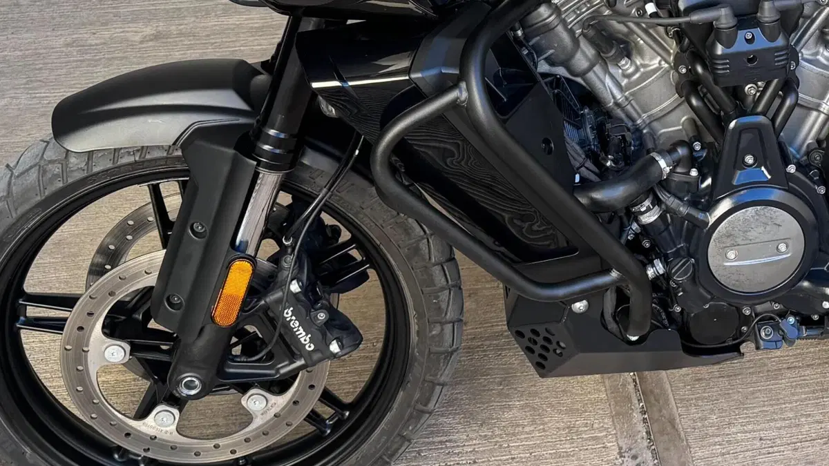 Harley-Davidson Pan America 1250 (2020 - 25)  (9)