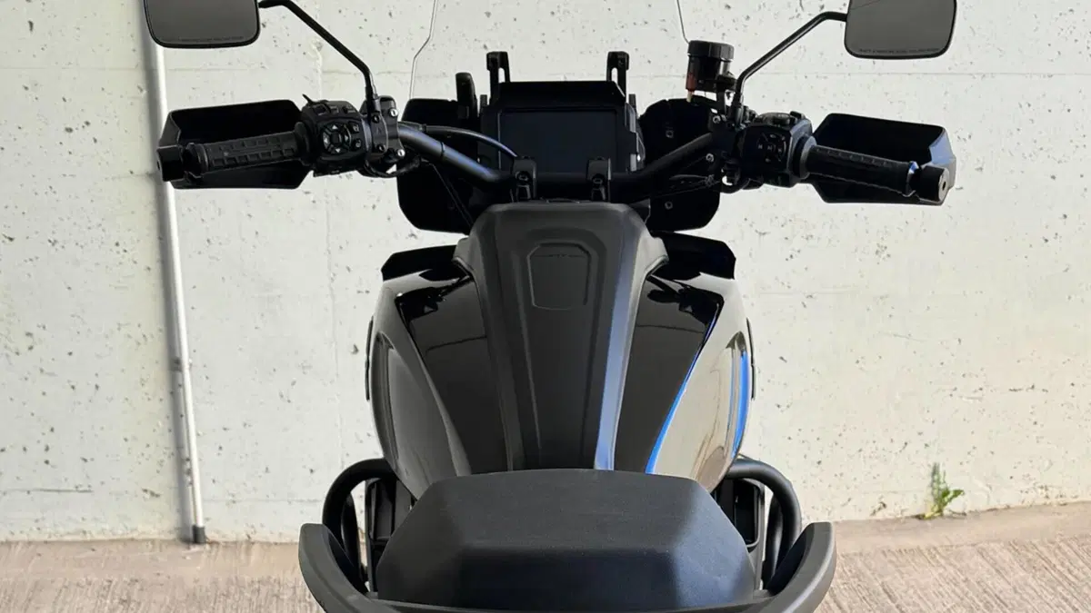 Harley-Davidson Pan America 1250 (2020 - 25)  (10)