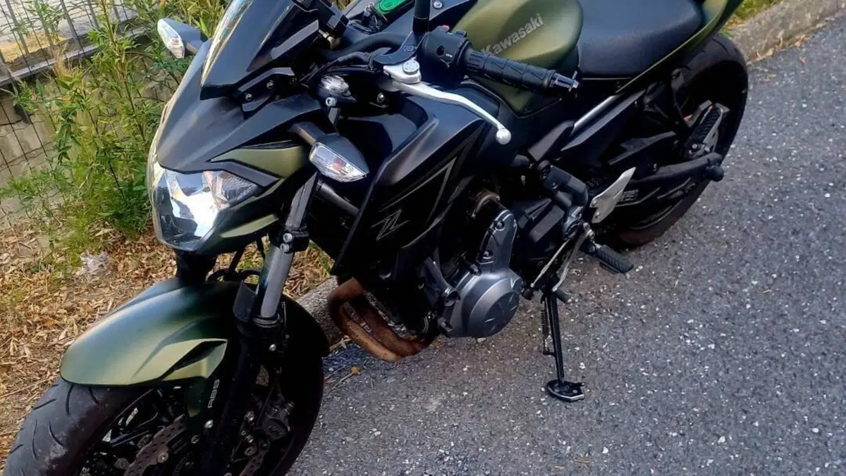 Kawasaki Z 650 (2017 - 19) 
