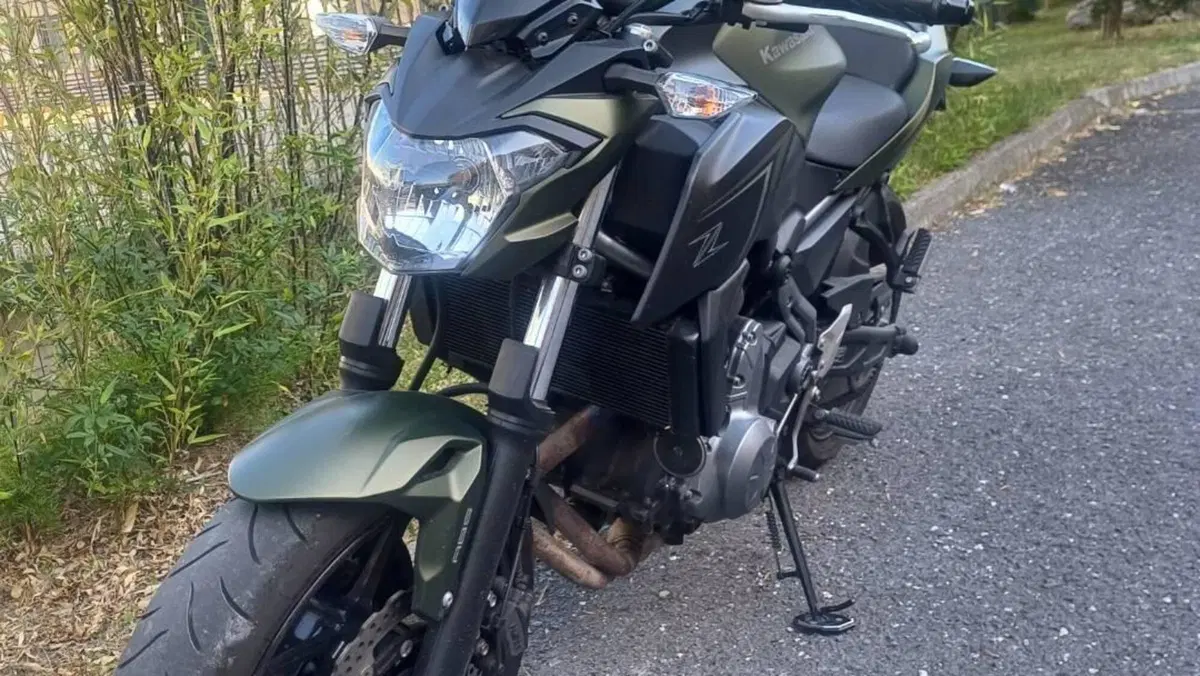 Kawasaki Z 650 (2017 - 19)  (3)