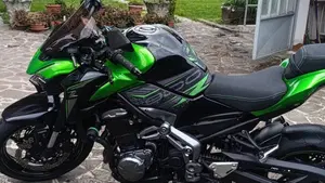 Kawasaki Z 900 A2 (2019)  (2)