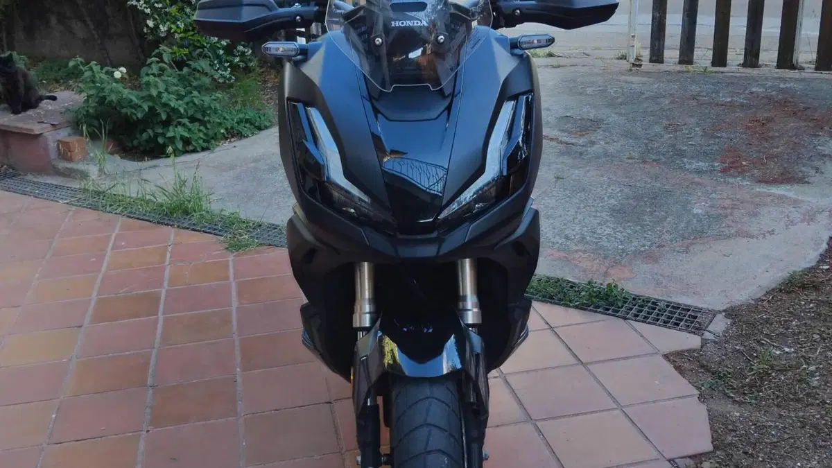 Honda ADV 350 (2025 - 26)  (2)