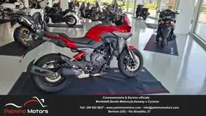 Cyclone RX650 (2025 - 26)  (2)