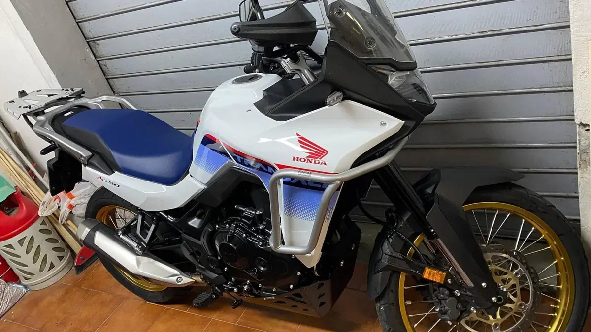 Honda Transalp XL750 (2023 - 24)  (4)