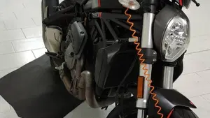 Ducati Monster 821 Stealth (2019 - 20)  (2)