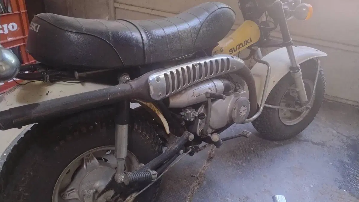 Suzuki   (2)
