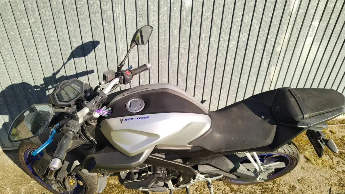Yamaha MT-125 ABS (2015 - 16)  (4)