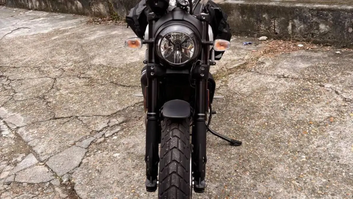 Ducati Scrambler 800 Icon (2021 - 22)  (4)