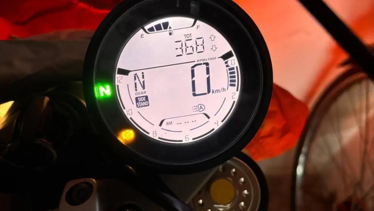 Ducati Scrambler 800 Icon (2021 - 22)  (6)