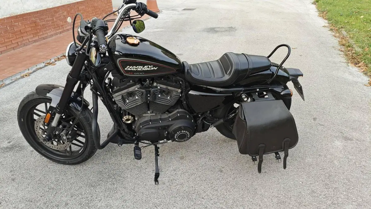 Harley-Davidson 1200 Roadster (2017 - 20) - XL 1200R  (3)