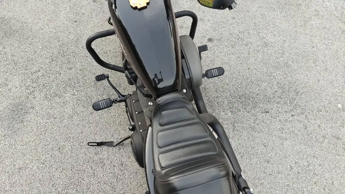 Harley-Davidson 1200 Roadster (2017 - 20) - XL 1200R  (5)