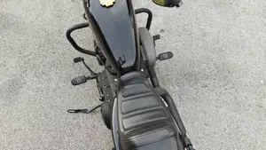 Harley-Davidson 1200 Roadster (2017 - 20) - XL 1200R  (5)