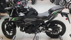 Kawasaki Z 500 (2024 - 26)  (4)