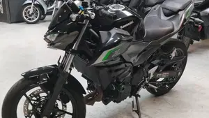Kawasaki Z 500 (2024 - 26)  (2)