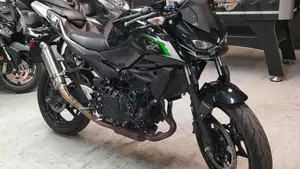 Kawasaki Z 500 (2024 - 26)  (5)