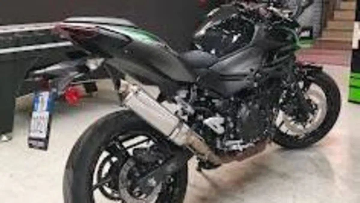 Kawasaki Z 500 (2024 - 26)  (6)