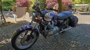 Triumph Bonneville T100 (2001 - 07) 