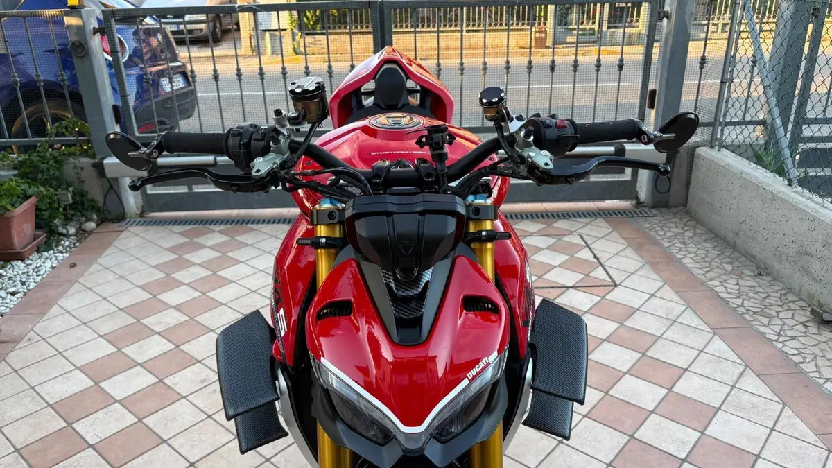 Ducati Streetfighter V4 1100 S (2020)  (16)