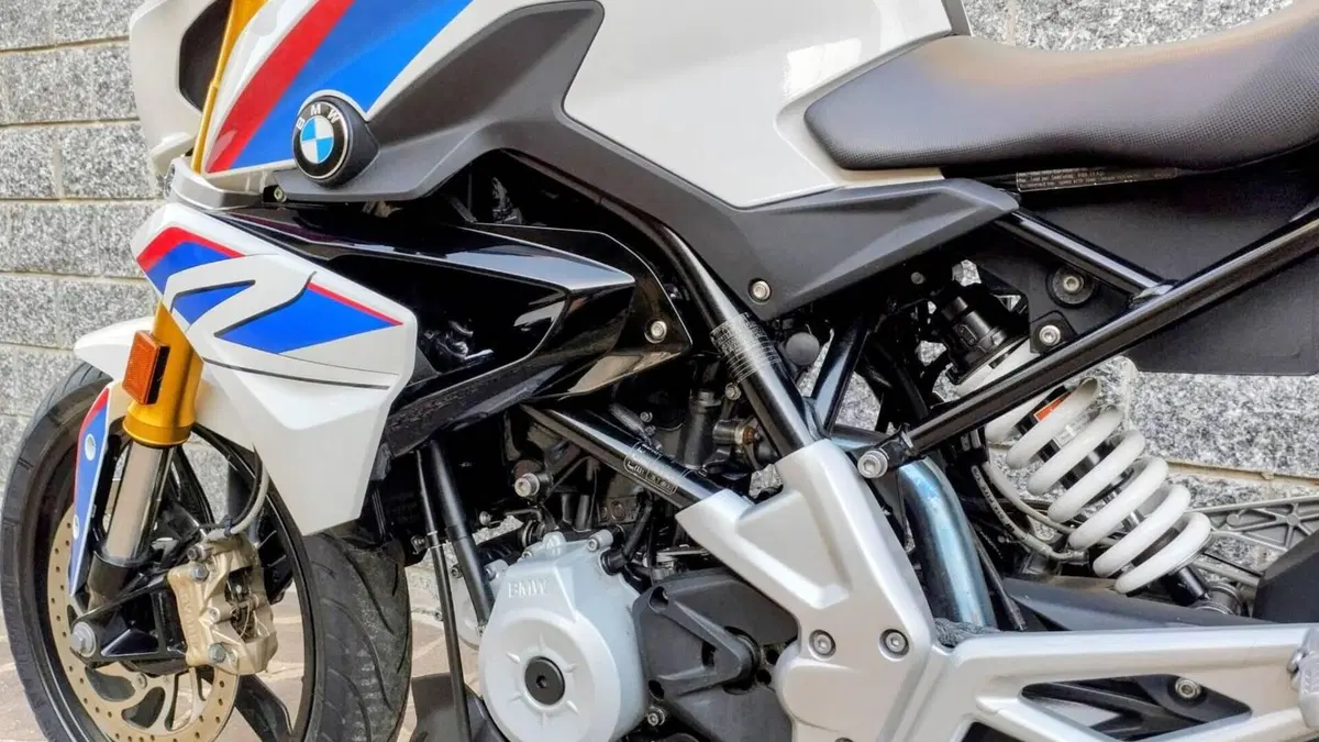 Bmw G 310 R (2016 - 20)  (2)