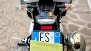 Bmw G 310 R (2016 - 20)  (3)