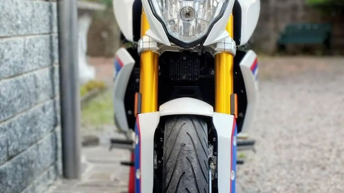 Bmw G 310 R (2016 - 20)  (4)