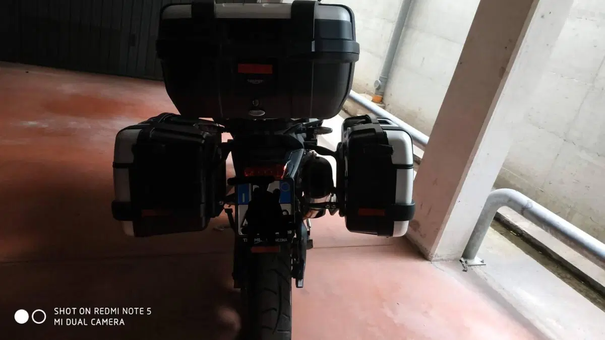 Triumph Tiger 900 GT Pro (2020 - 23)  (5)