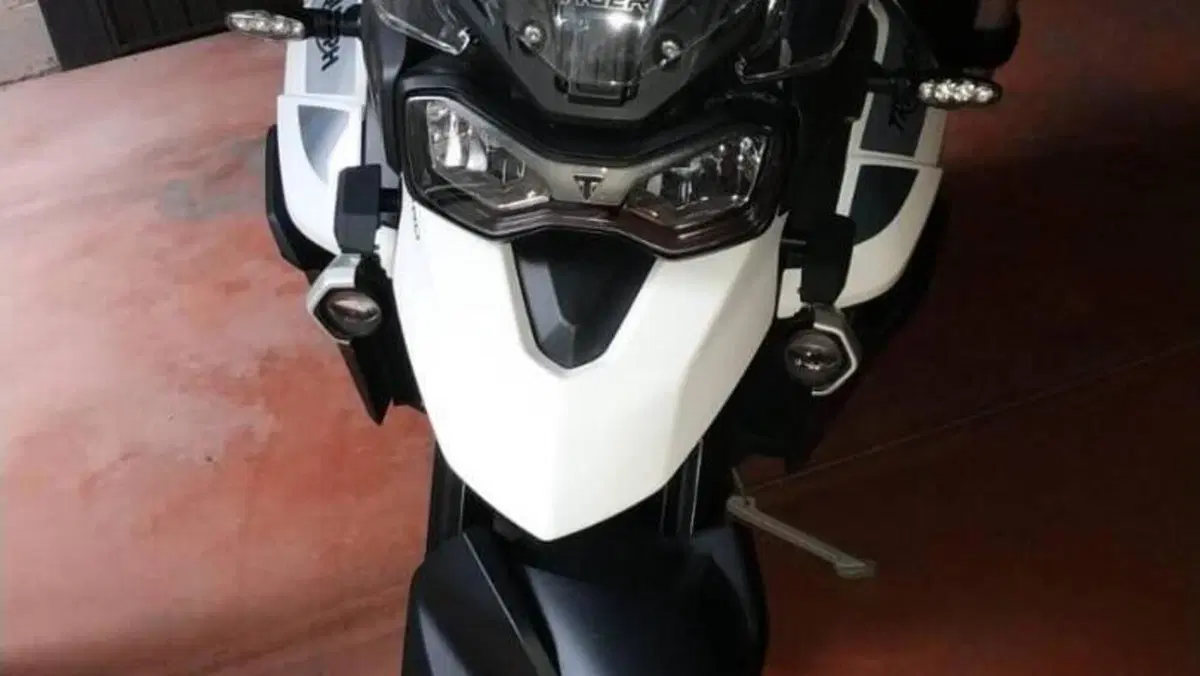 Triumph Tiger 900 GT Pro (2020 - 23)  (6)