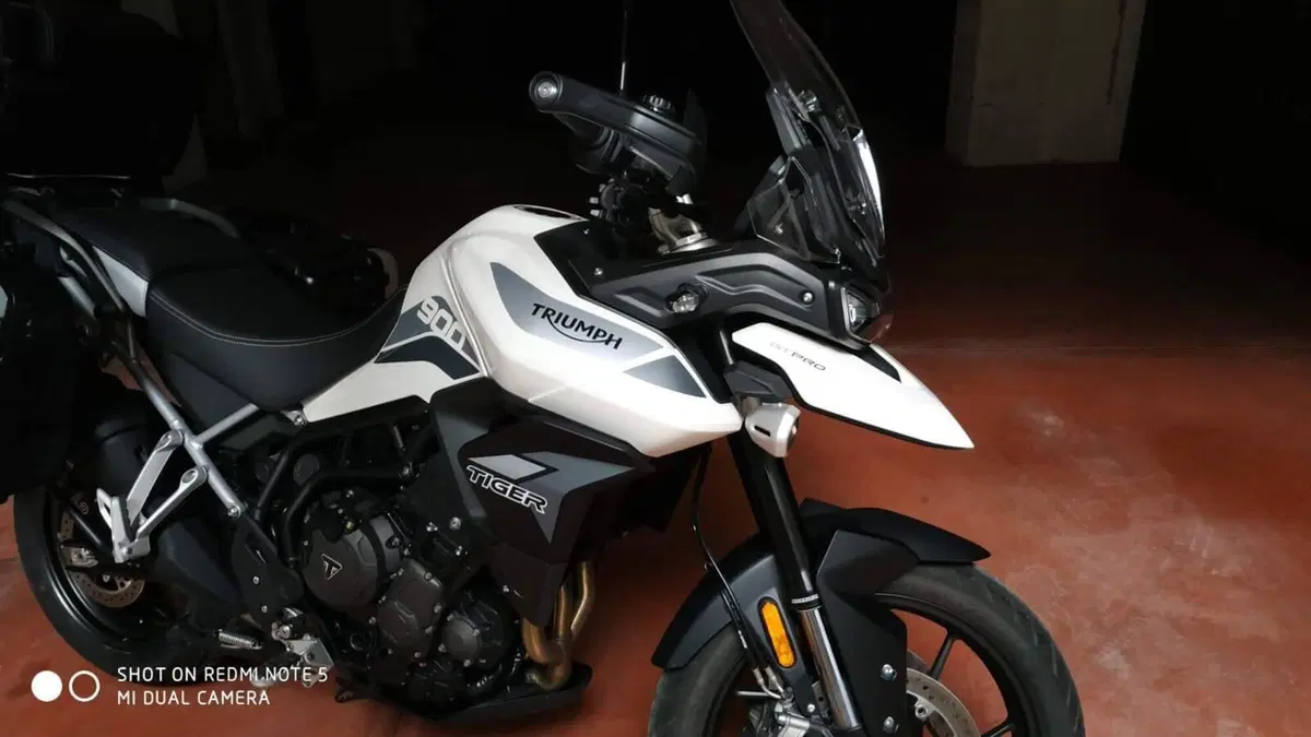 Triumph Tiger 900 GT Pro (2020 - 23)  (7)