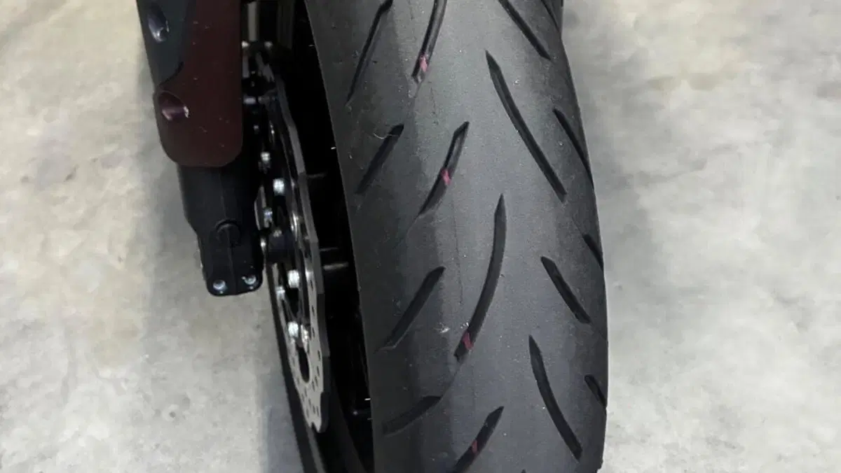 Benelli 502 C (2019 - 20)  (4)