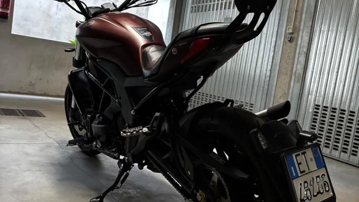 Benelli 502 C (2019 - 20)  (7)