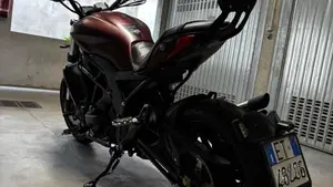 Benelli 502 C (2019 - 20)  (7)