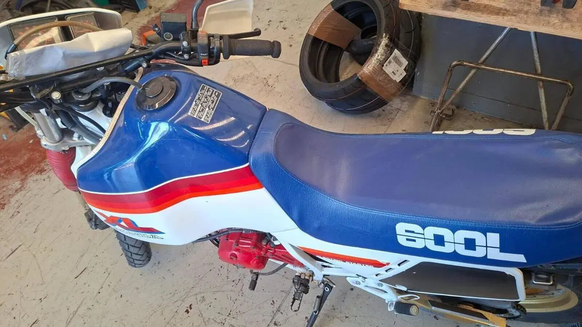 Honda   (7)
