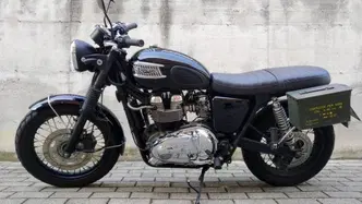 Triumph Bonneville T100 (2001 - 07) usata