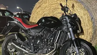 Honda Hornet 600 (2007 - 10) usata