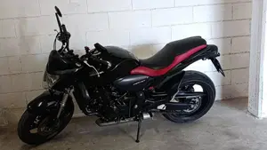 Honda Hornet 600 (2007 - 10)  (2)