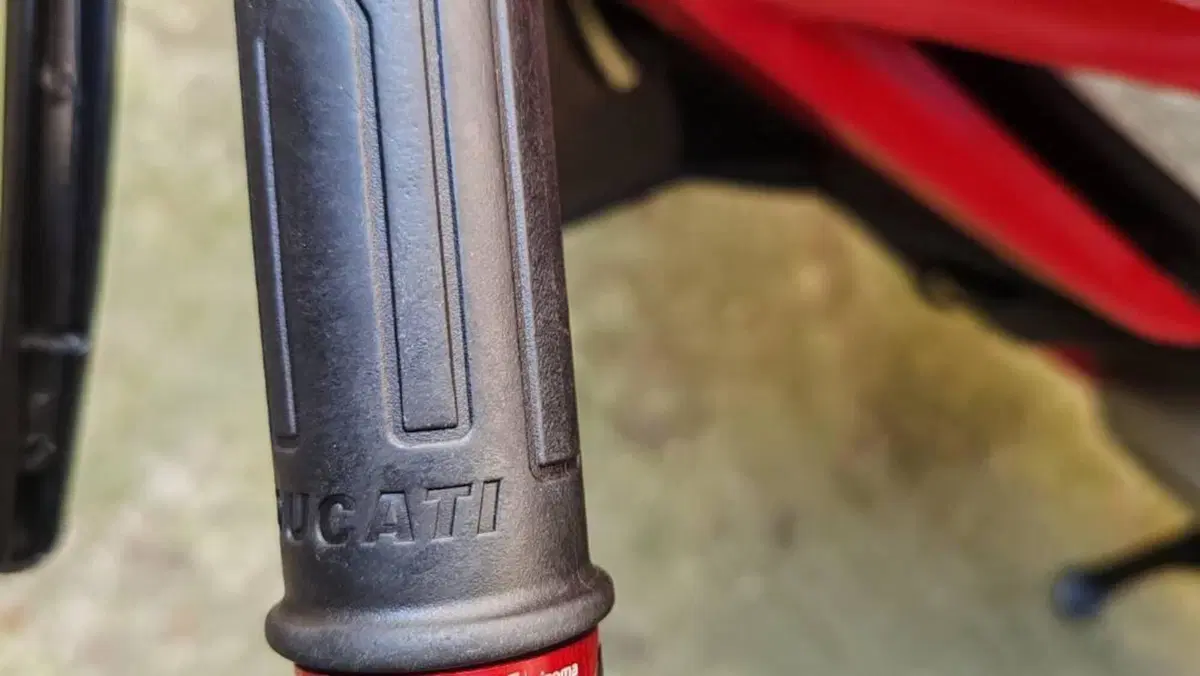 Ducati Streetfighter V4 1100 S (2020)  (4)