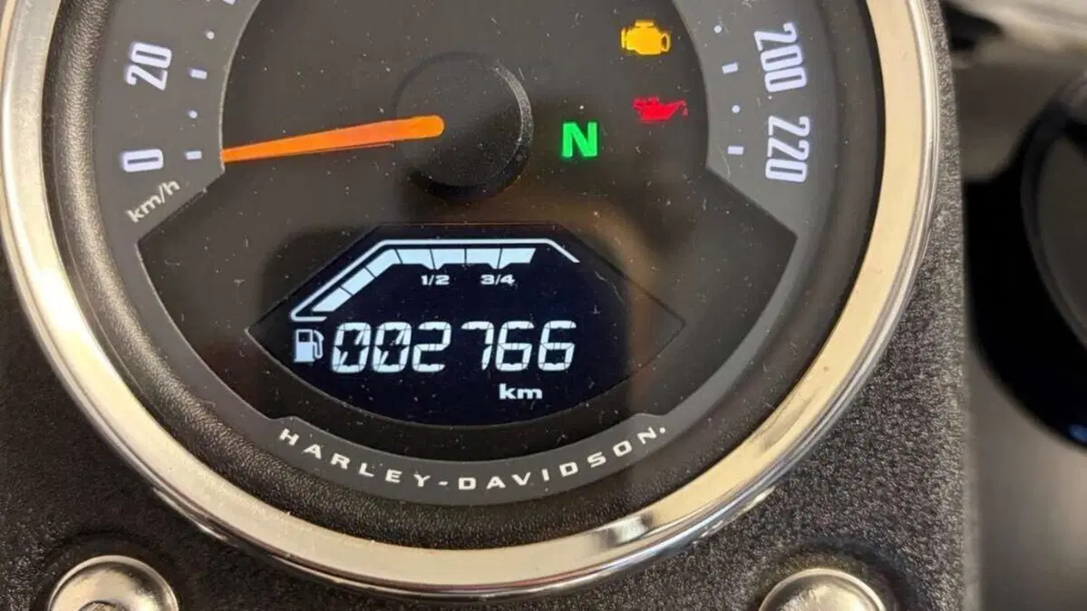 Harley-Davidson 114 Low Rider S (2020) - FXLRS  (3)